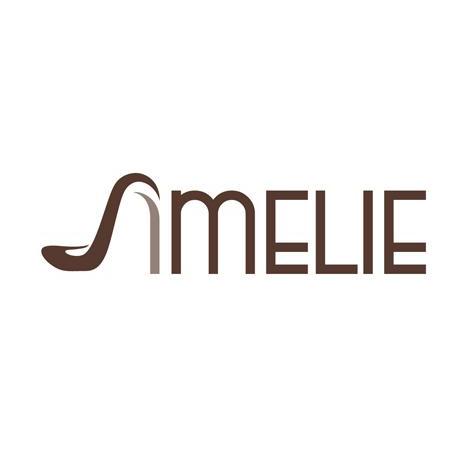 商标名称AMELIE商标注册号 10988618、商标申请人莆田市荔城区华盛鞋业有限公司的商标详情 - 标库网商标查询