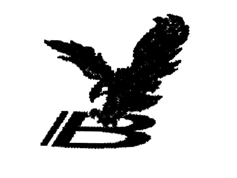 商标名称IB商标注册号 10740407、商标申请人大红鹰（中国）有限公司的商标详情 - 标库网商标查询