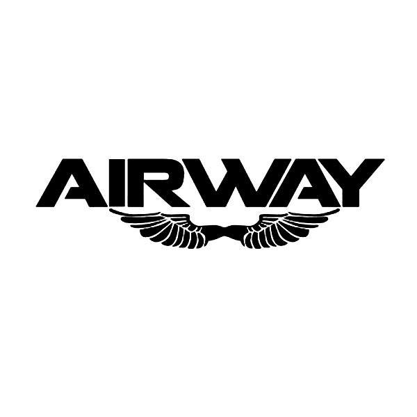 商标名称AIRWAY商标注册号 11017084、商标申请人晋江市精益体育用品有限公司的商标详情 - 标库网商标查询