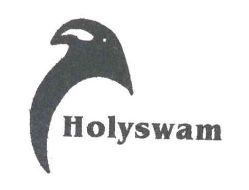 商标名称HOLYSWAM商标注册号 3189429、商标申请人上海鸿圣实业有限公司的商标详情 - 标库网商标查询
