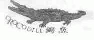 商标名称鳄鱼;CROCODILE商标注册号 1617810、商标申请人何嘉力的商标详情 - 标库网商标查询