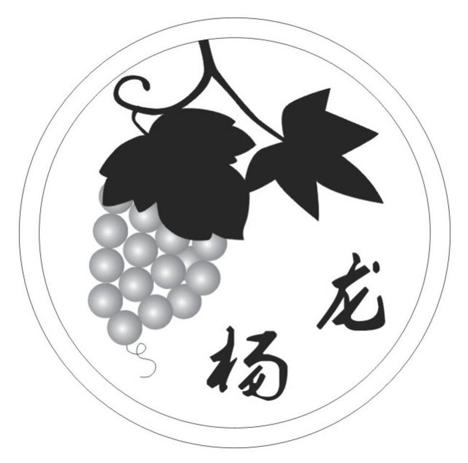 商标名称杨龙商标注册号 7454447、商标申请人上海紫玉葡萄果业专业合作社的商标详情 - 标库网商标查询