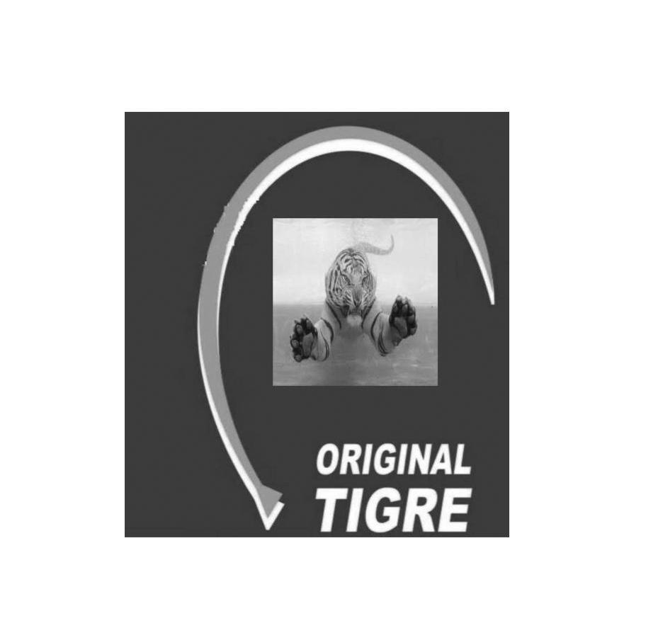 商标名称ORIGINAL TIGRE商标注册号 10483098、商标申请人艾玛德克国际有限公司的商标详情 - 标库网商标查询