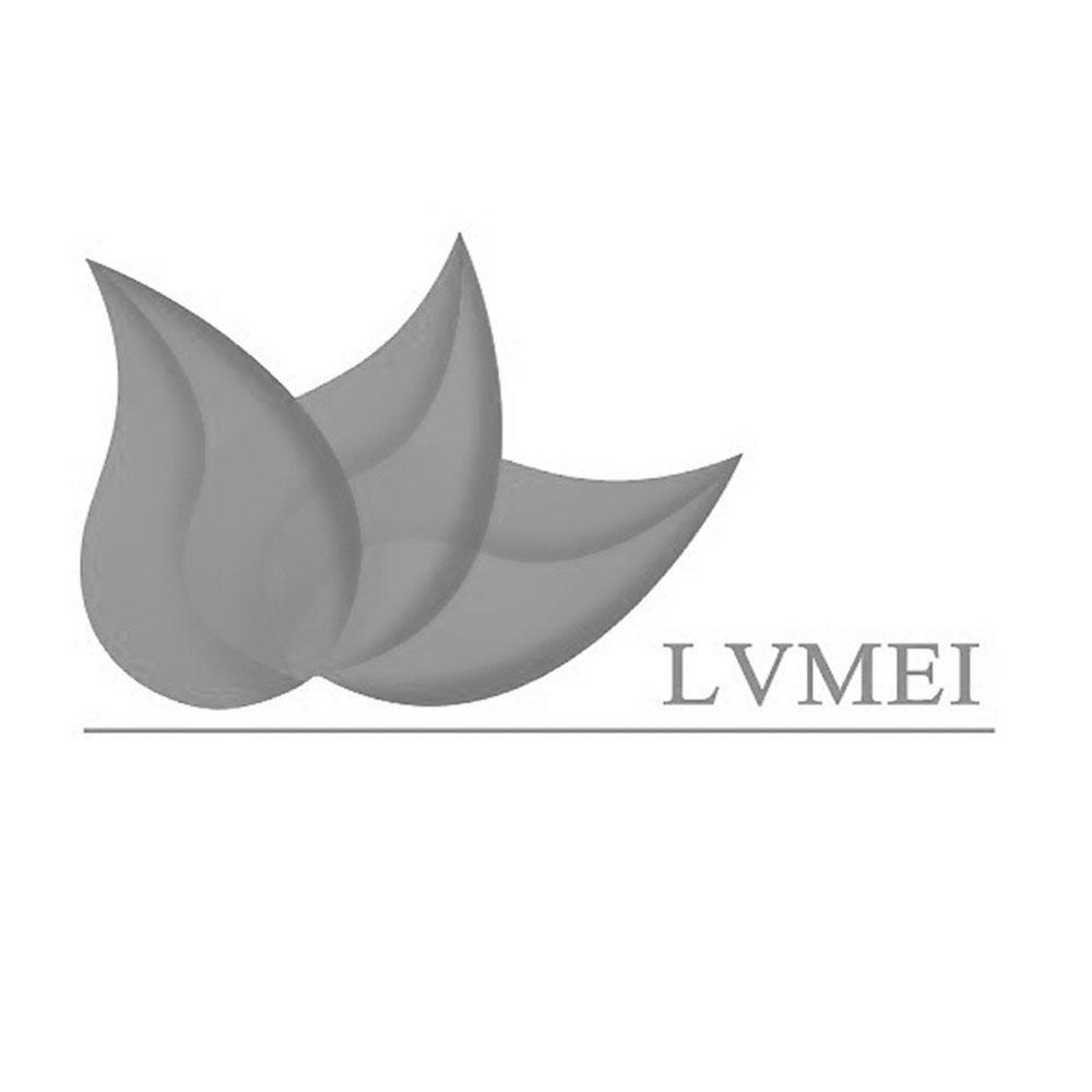 商标名称LVMEI商标注册号 10433601、商标申请人广东绿美环保科技有限公司的商标详情 - 标库网商标查询
