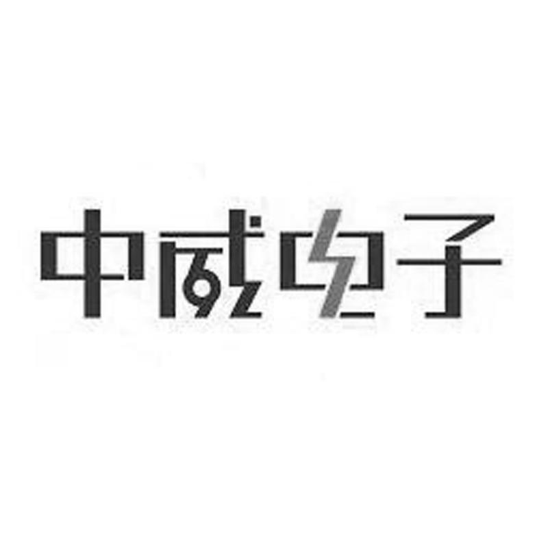 商标名称中威电子商标注册号 10397575、商标申请人杭州中威电子股份有限公司的商标详情 - 标库网商标查询