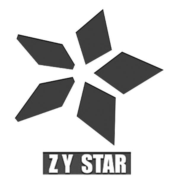商标名称ZY STAR商标注册号 10623858、商标申请人广东小太阳砂磨材料有限公司的商标详情 - 标库网商标查询