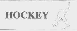 商标名称HOCKEY商标注册号 1355558、商标申请人武广的商标详情 - 标库网商标查询
