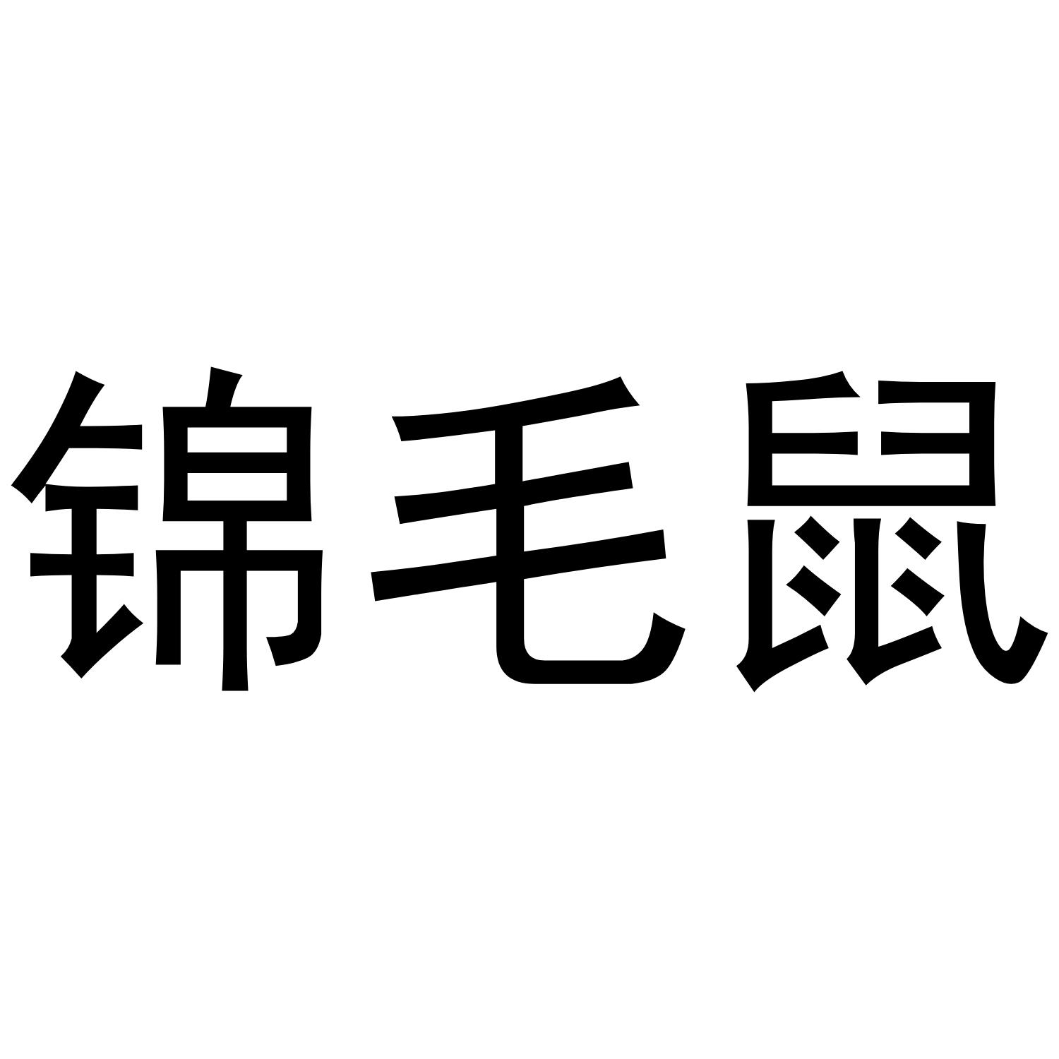 锦毛鼠