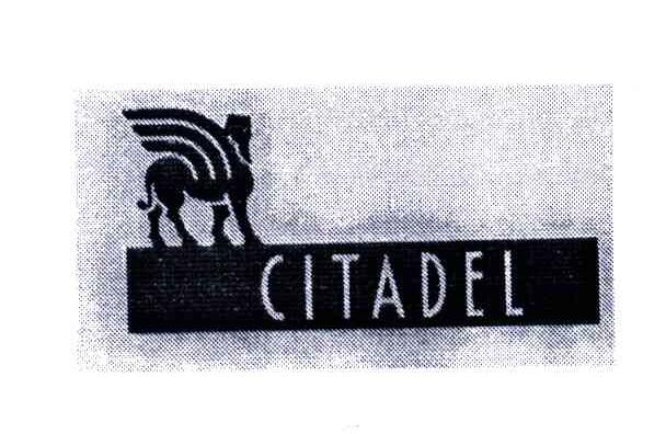 商标名称CITADEL商标注册号 3506347、商标申请人虞铭坤的商标详情 - 标库网商标查询
