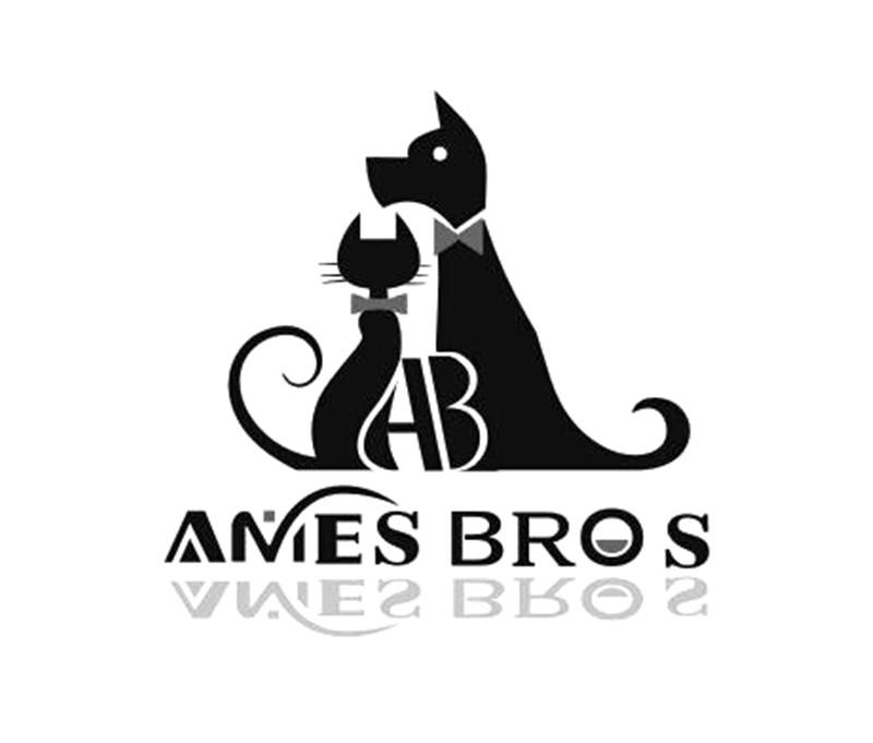 商标名称AMES BROS AB商标注册号 18246254、商标申请人张自勇的商标详情 - 标库网商标查询