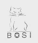 商标名称BOSI商标注册号 1188081、商标申请人广东波斯科技股份有限公司的商标详情 - 标库网商标查询