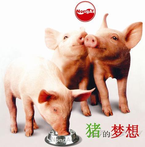 商标名称猪的梦想 NONGAI商标注册号 10563165、商标申请人延吉市创享饲料有限公司的商标详情 - 标库网商标查询