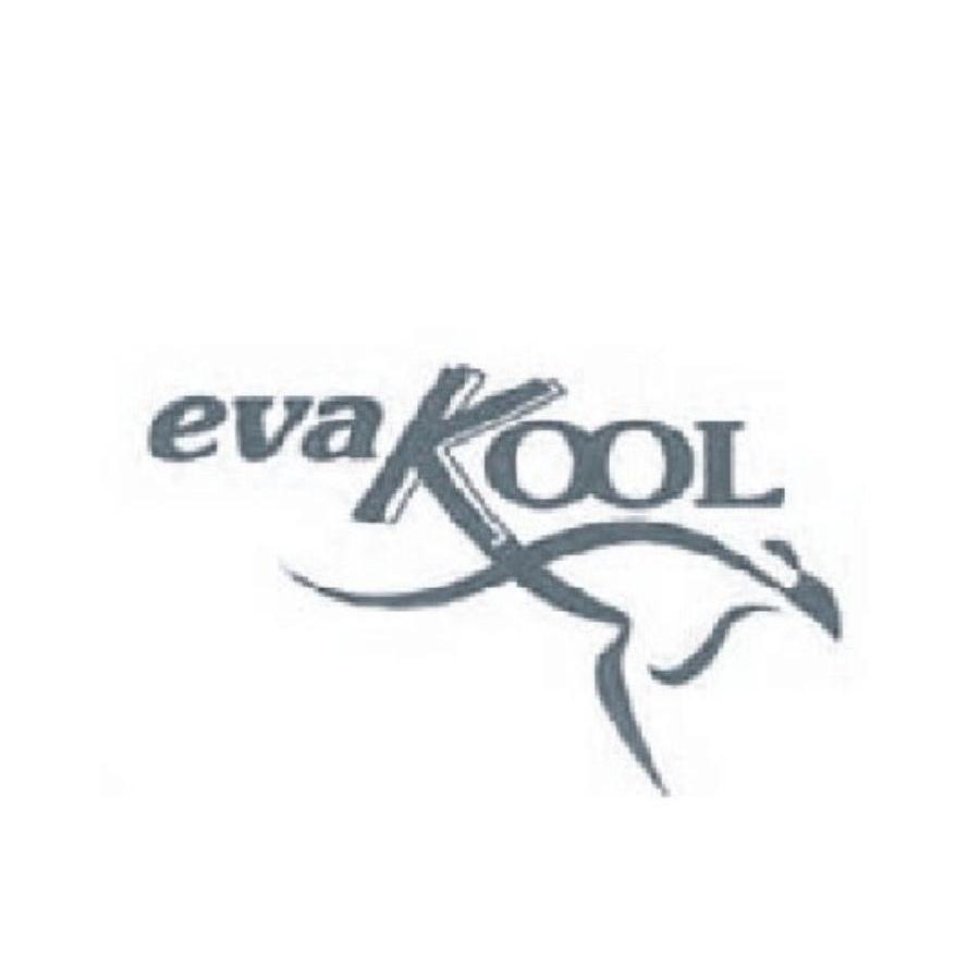 商标名称EVAKOOL商标注册号 11516253、商标申请人中山鑫圳业生物科技投资有限公司的商标详情 - 标库网商标查询