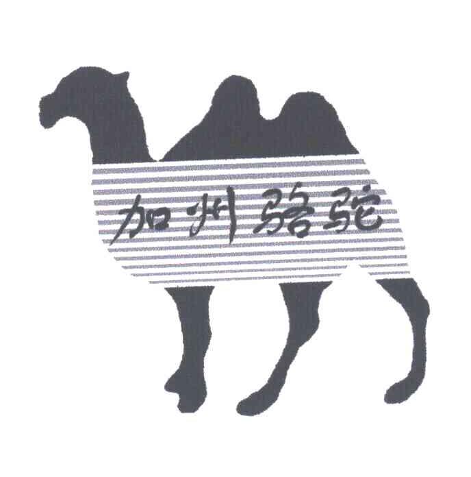 商标名称加州骆驼商标注册号 3720691、商标申请人王丽杰的商标详情 - 标库网商标查询