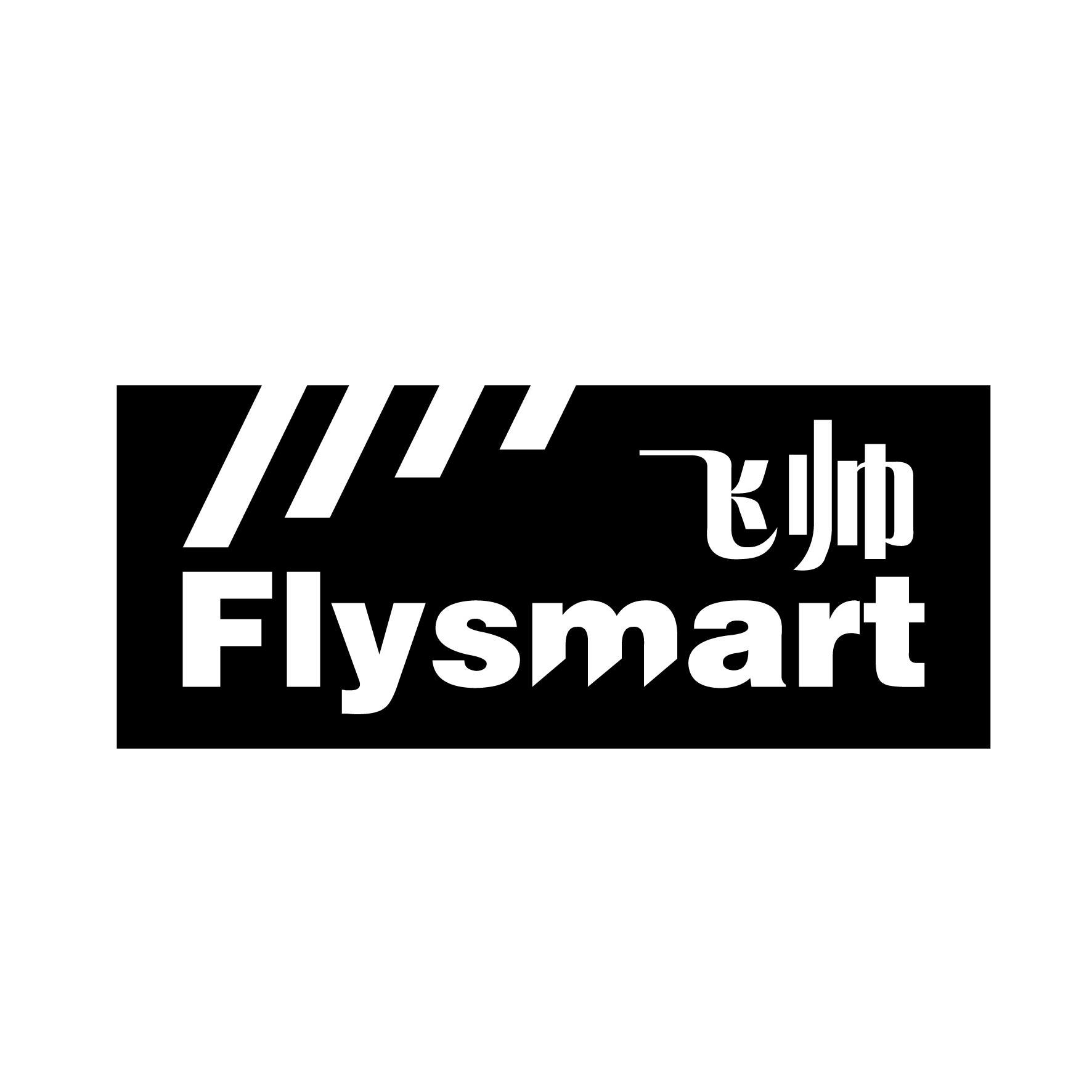 飞帅 FLYSMART