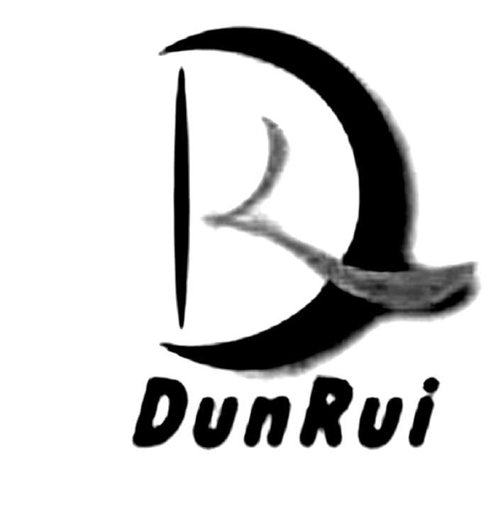 商标名称D DUNRUI商标注册号 10134378、商标申请人佛山市顺德区陈村镇敦瑞医疗科技设备厂的商标详情 - 标库网商标查询