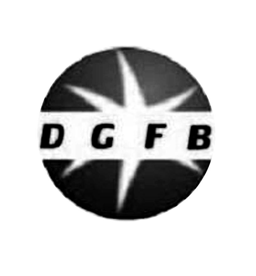商标名称DGFB商标注册号 11033185、商标申请人浙江实在电气有限公司的商标详情 - 标库网商标查询