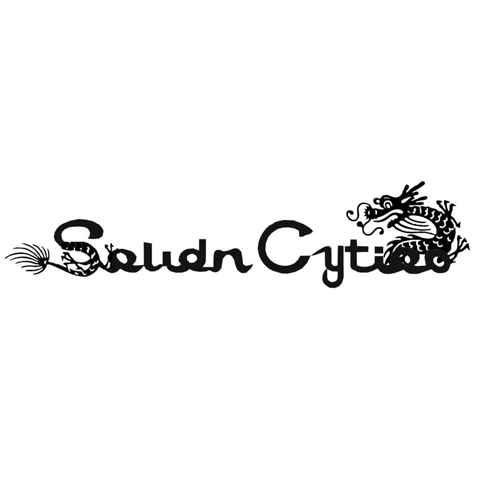 商标名称SAUDN CYTIAN商标注册号 10418400、商标申请人北京百达永利服装服饰有限公司的商标详情 - 标库网商标查询