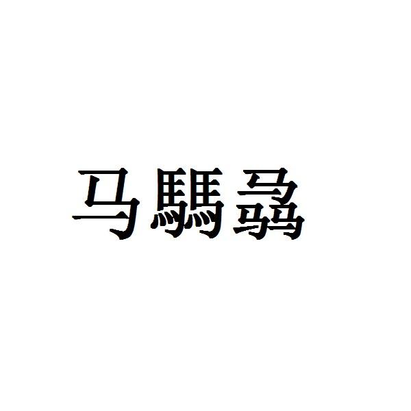 商标文字马騳骉商标注册号 43234331,商标申请人广州兴旺建材有限公司