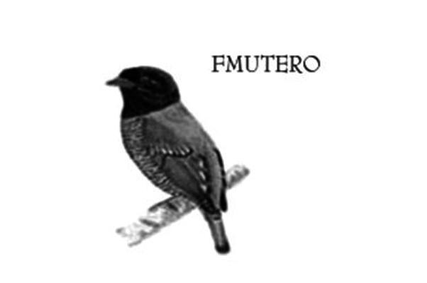商标名称FMUTERO商标注册号 9309684、商标申请人齐家裕经贸（北京）有限公司的商标详情 - 标库网商标查询