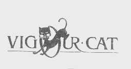 商标名称VIGOUR CAT商标注册号 1228791、商标申请人邹梅的商标详情 - 标库网商标查询