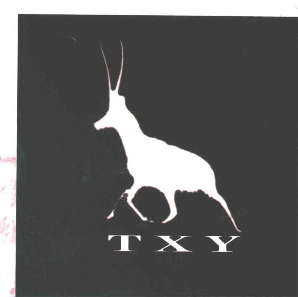 商标名称TXY商标注册号 3060361、商标申请人刘宇军的商标详情 - 标库网商标查询