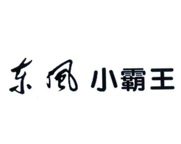 商标文字东风小霸王商标注册号 48427174,商标申请人东风汽车集团有限