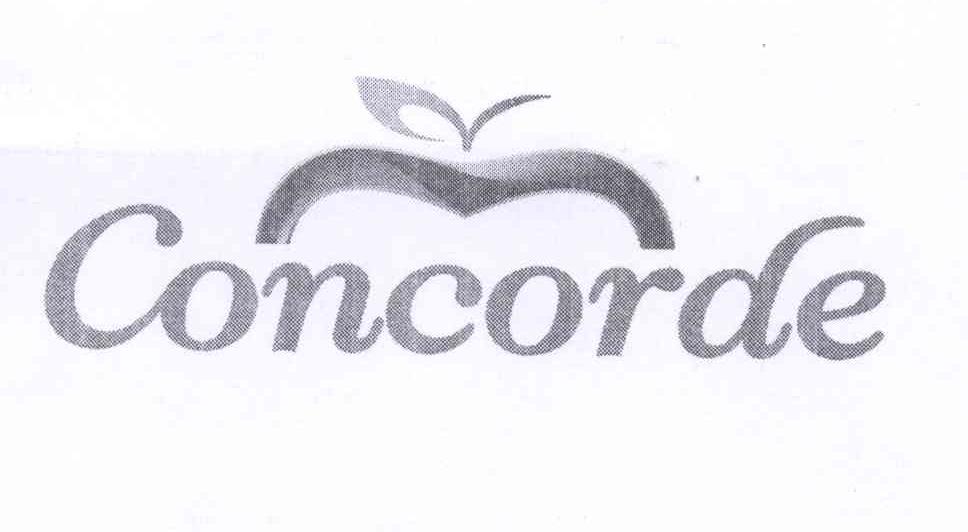 商标名称CONCORDE商标注册号 13319905、商标申请人戴炜伦K（6）的商标详情 - 标库网商标查询