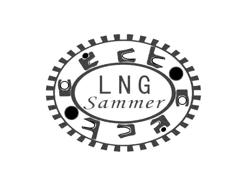 商标名称LNG SAMMER商标注册号 13045273、商标申请人上海斯晏尔机电设备有限公司的商标详情 - 标库网商标查询