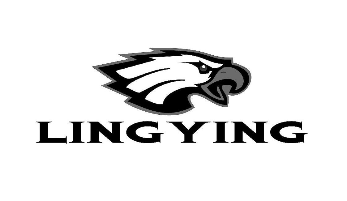 商标名称LING YING商标注册号 11283423、商标申请人三明市兴隆伟业机械有限公司的商标详情 - 标库网商标查询