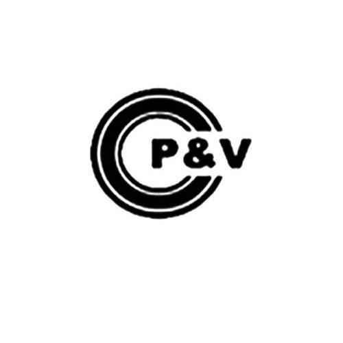 商标名称P&V商标注册号 11903719、商标申请人北京航天动力研究所的商标详情 - 标库网商标查询
