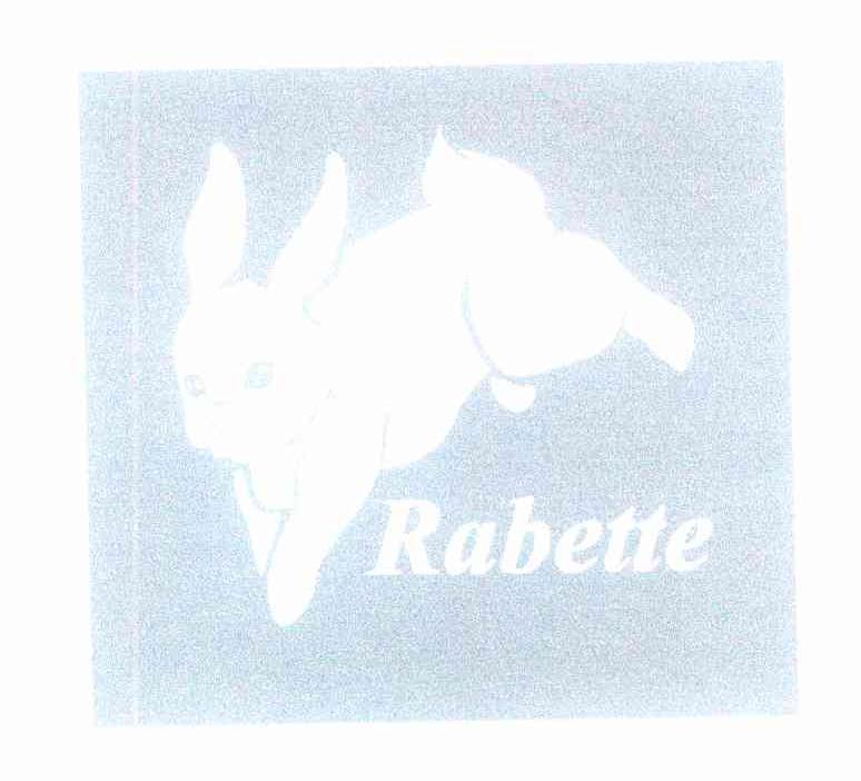 商标名称RABETTE商标注册号 9272237、商标申请人王君辉的商标详情 - 标库网商标查询
