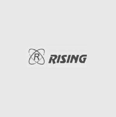 商标名称RISING R商标注册号 14972490、商标申请人东莞莱升电子有限公司的商标详情 - 标库网商标查询