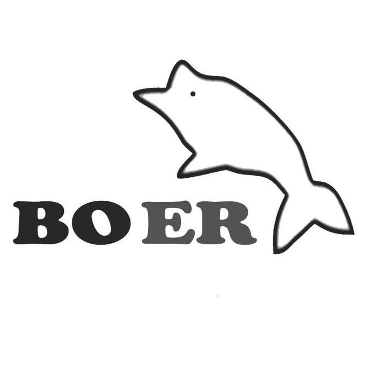 商标名称BOER商标注册号 14484248、商标申请人台州市宝尔电器有限公司的商标详情 - 标库网商标查询