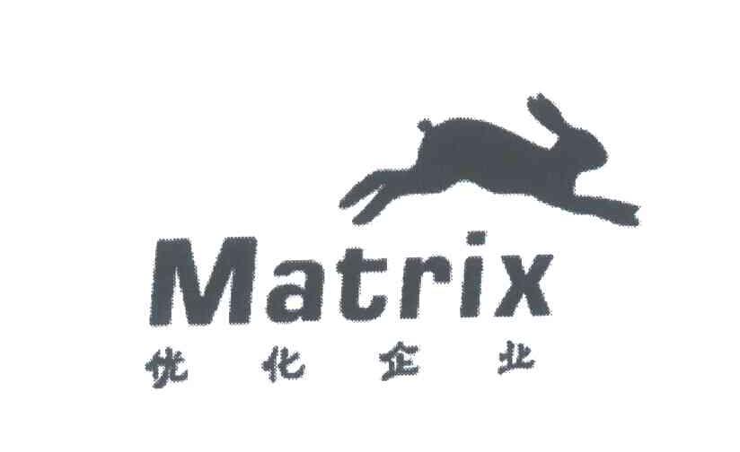 商标名称MATRIX;优化企业商标注册号 3955647、商标申请人周泰立的商标详情 - 标库网商标查询