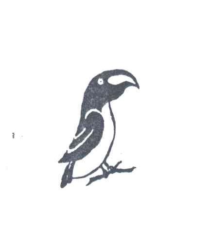 商标名称图形商标注册号 2007003、商标申请人上海冬候鸟服饰有限公司的商标详情 - 标库网商标查询