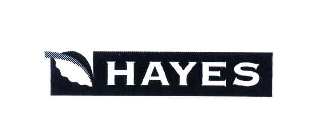 商标名称HAYES商标注册号 4080686、商标申请人海斯国际有限公司的商标详情 - 标库网商标查询