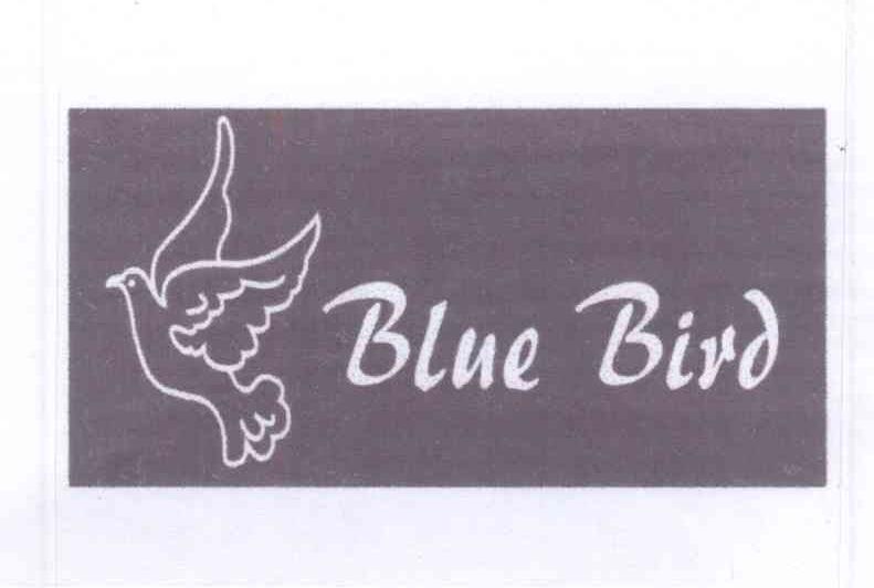 商标名称BLUE BIRD商标注册号 13866979、商标申请人王俊的商标详情 - 标库网商标查询