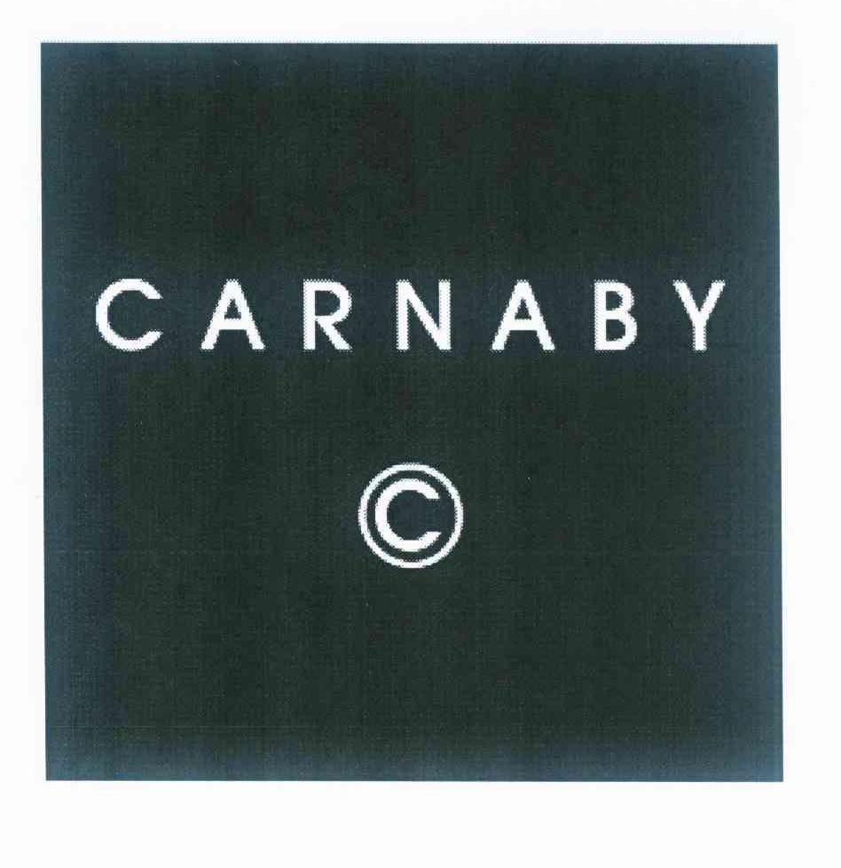 商标名称CARNABY商标注册号 10227047、商标申请人TJ投资有限公司的商标详情 - 标库网商标查询