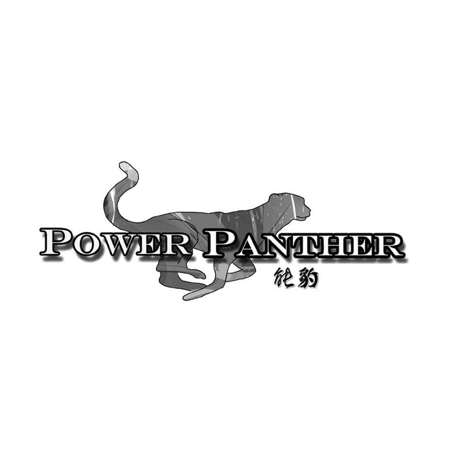 商标名称能豹 POWER PANTHER商标注册号 13872067、商标申请人天津安睿纳科技有限责任公司的商标详情 - 标库网商标查询
