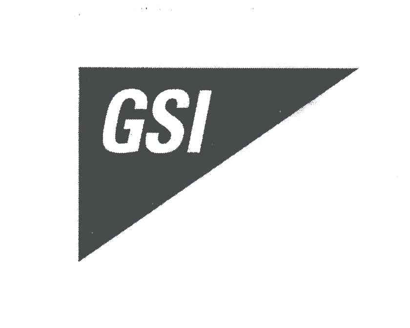 商标名称GSI商标注册号 5416697、商标申请人GSI集团公司的商标详情 - 标库网商标查询