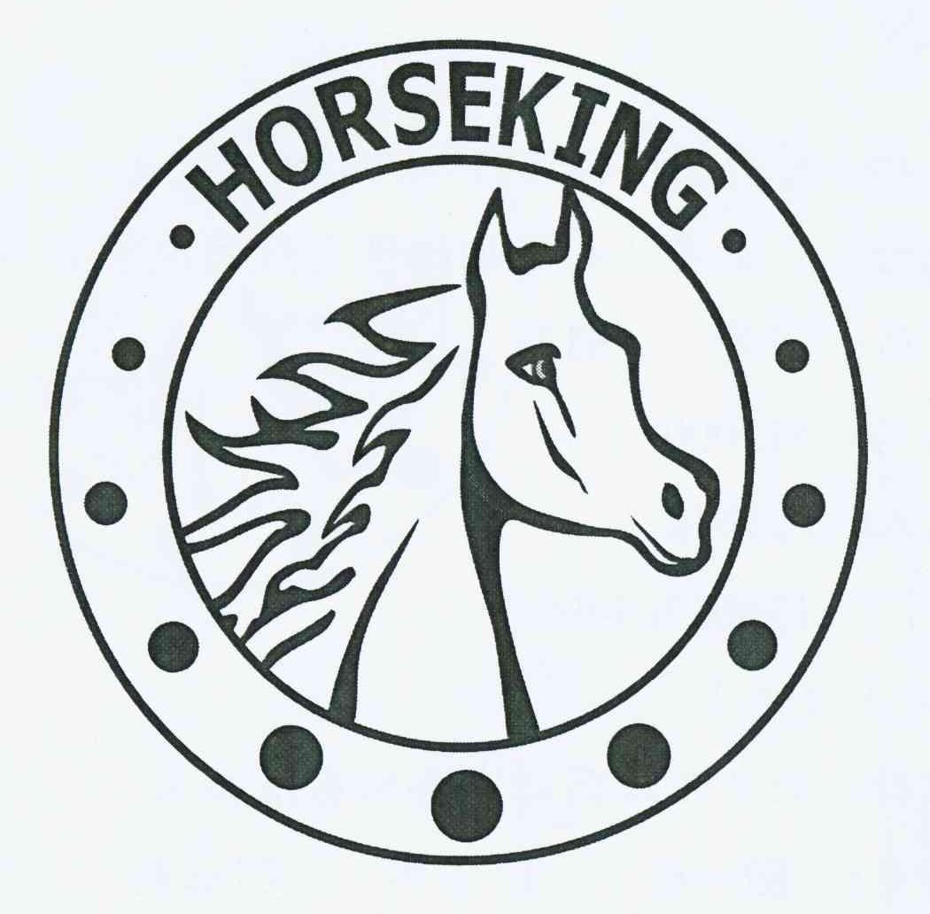 商标名称HORSEKING商标注册号 10416166、商标申请人陈伟标的商标详情 - 标库网商标查询