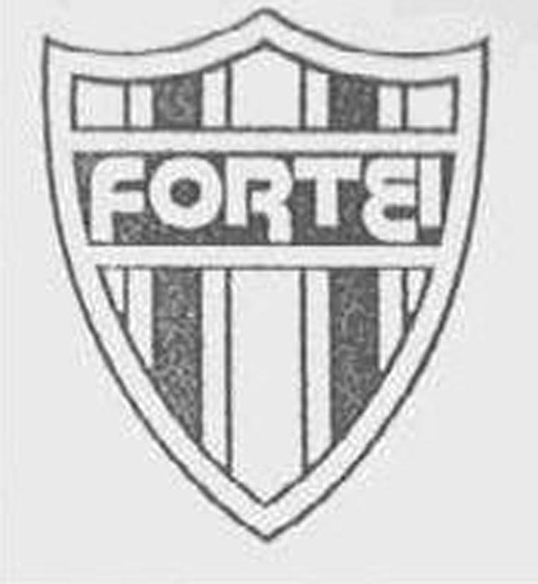 商标名称FORTEI商标注册号 10669131、商标申请人广州财富皮件服饰有限公司的商标详情 - 标库网商标查询