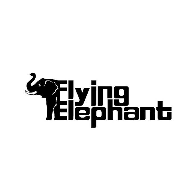 商标名称FLYING ELEPHANT商标注册号 10739677、商标申请人珠海施米德科技有限公司的商标详情 - 标库网商标查询