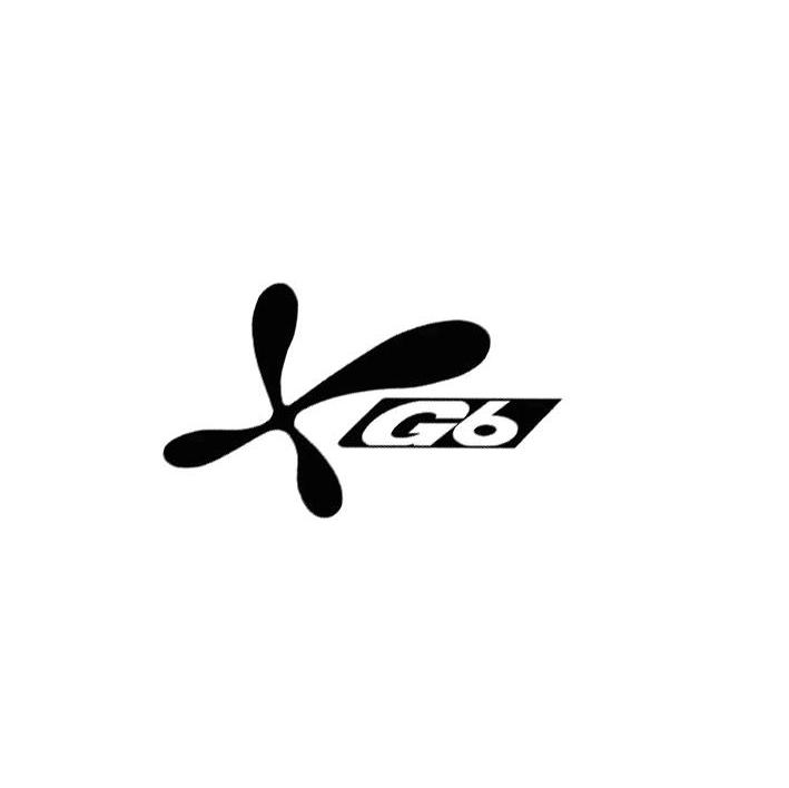 商标名称G 6商标注册号 7480192、商标申请人济南神工动力机械有限公司的商标详情 - 标库网商标查询