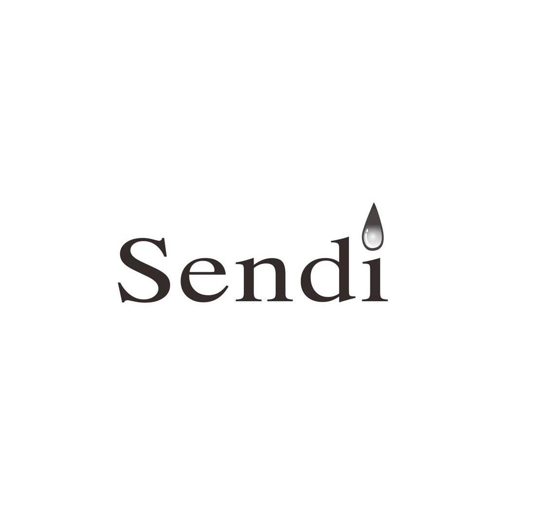 商标名称SENDI商标注册号 10804448、商标申请人浙江中大集团国际贸易有限公司的商标详情 - 标库网商标查询