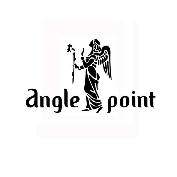 商标名称ANGLE POINT商标注册号 13966411、商标申请人张松伟的商标详情 - 标库网商标查询