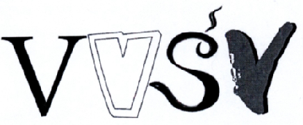 商标名称VVSV商标注册号 18225977、商标申请人李靖的商标详情 - 标库网商标查询