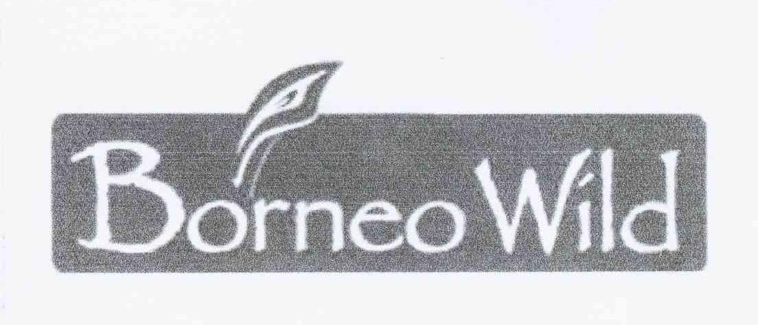 商标名称BORNEO WILD商标注册号 10430843、商标申请人尹蓉的商标详情 - 标库网商标查询