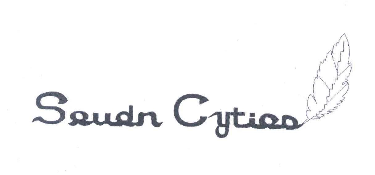 商标名称SAUDN CYTIAN商标注册号 7157195、商标申请人北京百达永利服装服饰有限公司的商标详情 - 标库网商标查询